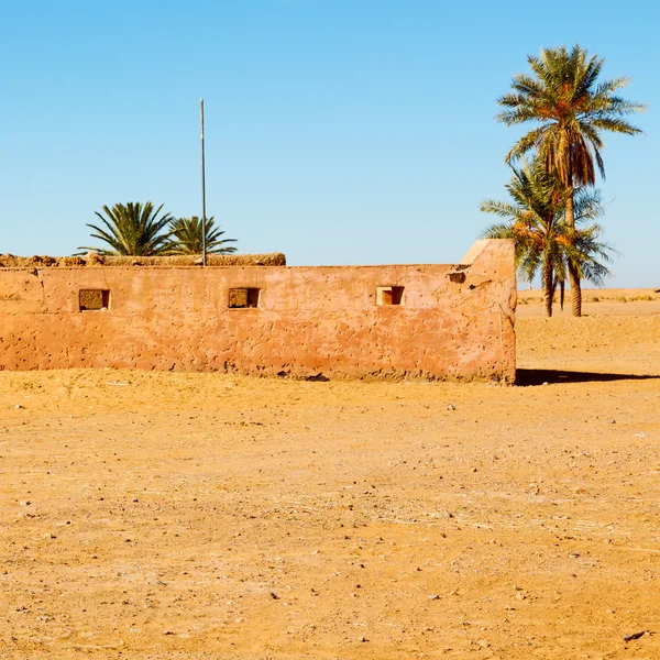 Sahara Afrika i Marocko palm den gamla contruction och hans — Stockfoto