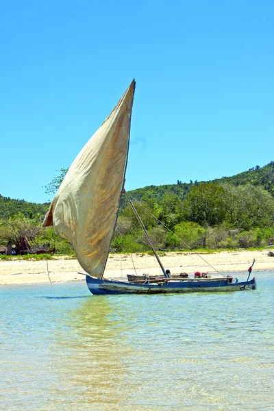 Člun pláži řasy v Indickém oceánu Madagaskar vlezlý se — Stock fotografie