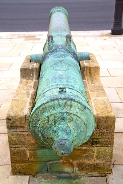 Bronze cannon in africa morocco  green  and the — Stock Photo, Image