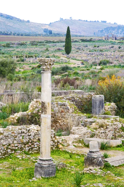 Monumento e sito deteriorati volubilis — Foto Stock