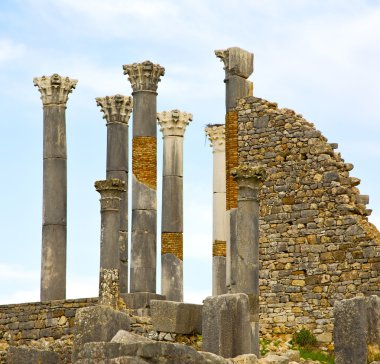 Volubilis Fas Afrika eski Roma bozulan anıt 
