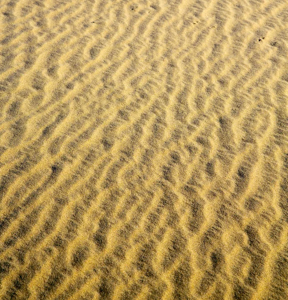 사하라 모스코 사막에 있는 갈색 모래 언덕 — 스톡 사진