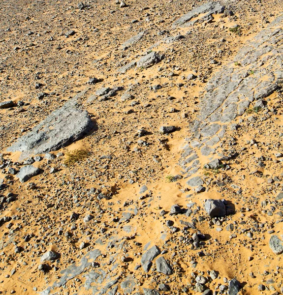 Viejo fósil en el desierto de morocco sahara y roca cielo de piedra —  Fotos de Stock