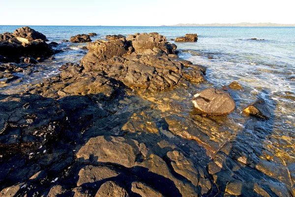 Mořské řasy Madagaskar v písku ostrova oblohy a rock — Stock fotografie