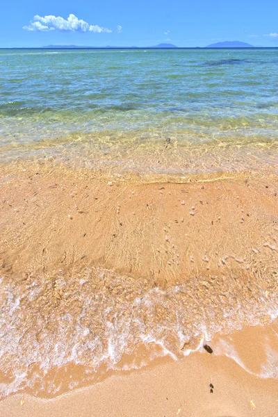 Paradies Strand Algen neugierig sein und Schaum — Stockfoto