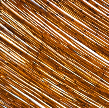 Fas soyut bambu çatı Afrika gökyüzünde