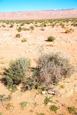  Todra Fas Afrika geçit ve  