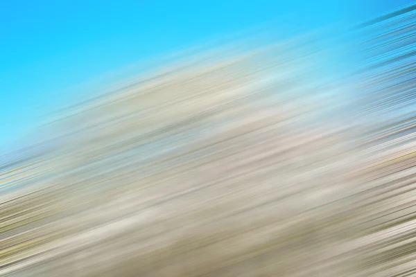 In london park der weiße baum und blühen blumen natürlich — Stockfoto