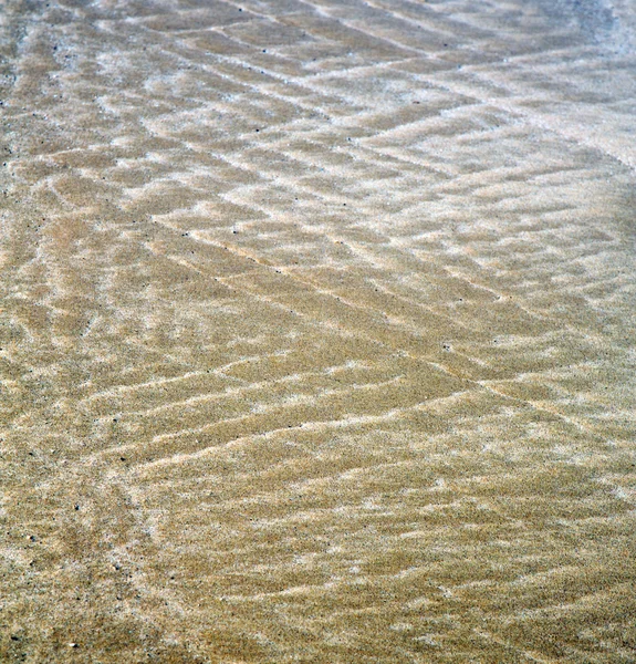 摩洛哥非洲棕色海岸线湿沙滩附近大西洋 o — 图库照片