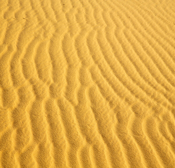 africa the brown sand dune in   sahara morocco desert line