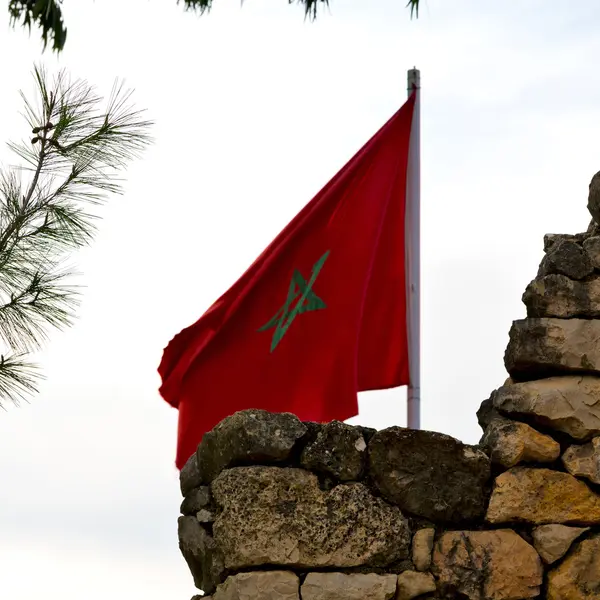 Tunisia acenando bandeira na cor do céu azul e lâmpada de rua — Fotografia de Stock