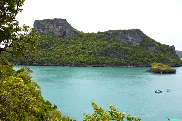 Kustlijn van een groene lagune en boom Zuid-jacht — Stockfoto
