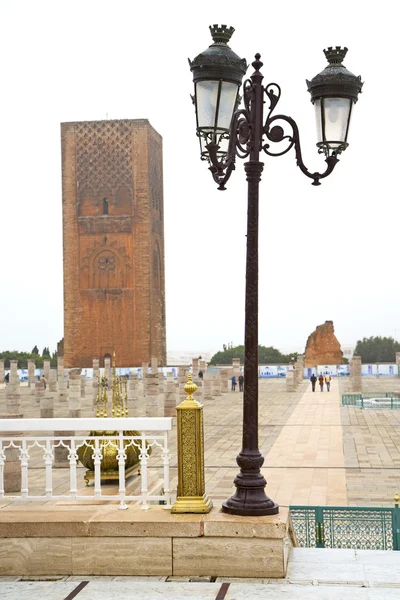 The   chellah  in morocco africa      street lamp and site — Stock Photo, Image