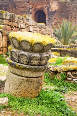 Chellah Fas Afrika eski Roma kötüleşti  