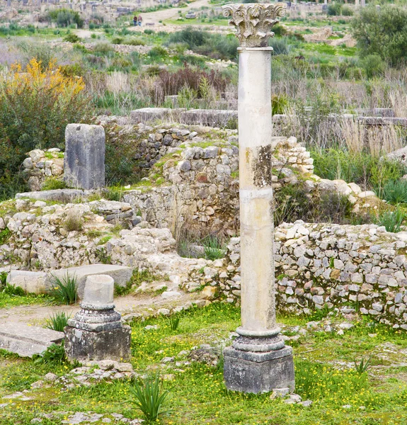 Volubilis in Marocco Africa il vecchio monumento romano deteriorato — Foto Stock