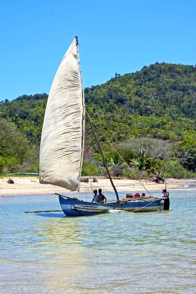 Pirogue praia algas marinhas no oceano indiano madagascar — Fotografia de Stock