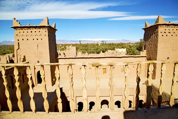 Afrika kar palmiye ağacı Balcon kahverengi eski yapılar