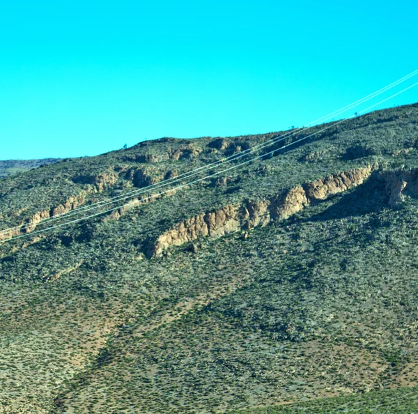 Bush  in    valley  morocco     africa the atlas dry mountain — Stock Photo, Image