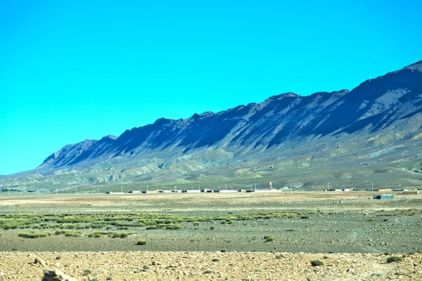 Busch im Tal Marokko Afrika Atlas trocken — Stockfoto