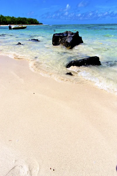 Beach ile du cerfs seaweed in indian boat — Stock Photo, Image