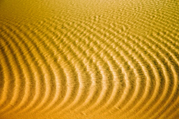 Африканская дюна в пустыне Сахара Марокко — стоковое фото