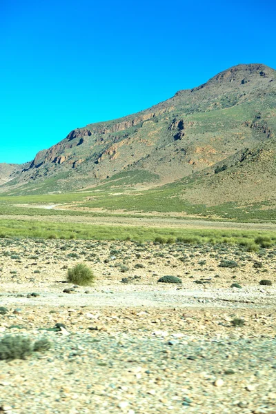 Cespuglio marrone in valle montagna secca del Marocco — Foto Stock
