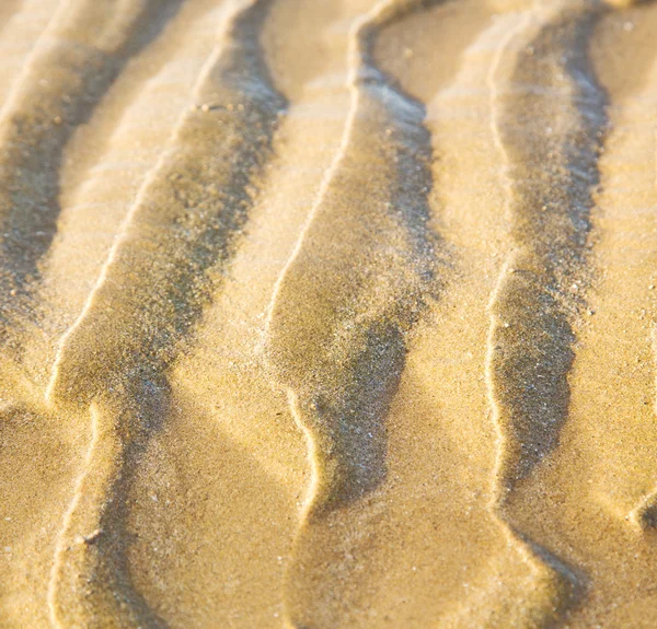 Duna morocco en africa costa marrón playa de arena húmeda cerca de atlán — Foto de Stock