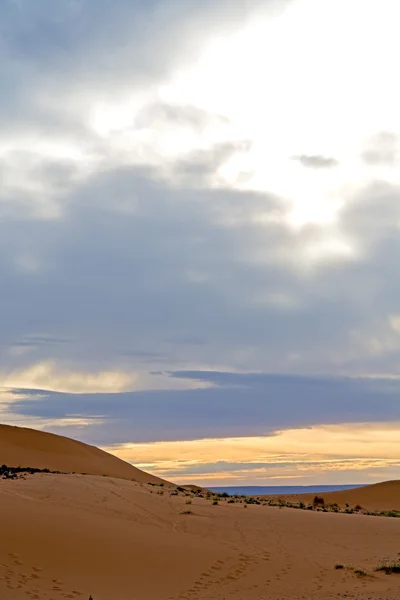 В пустелі марокко пісок і дюна — стокове фото