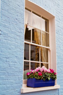 Londra'daki Notting hill alan İngiltere'de eski banliyö ve çiçekler