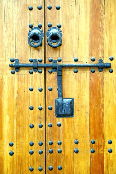 Rusty  brown    morocco in africa the old wood  facade — Stock Photo, Image