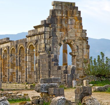 Volubilis Fas Afrika eski Roma bozulan anıt 