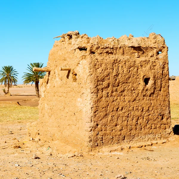 Sahara africa in marokko palme die alte konstruktion und seine — Stockfoto