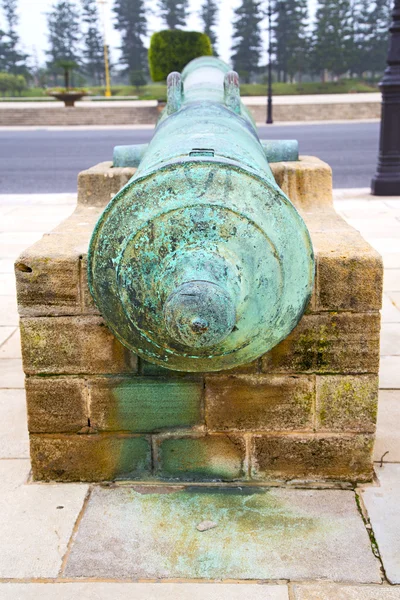 Cañón de bronce en árbol de África Marruecos verde —  Fotos de Stock