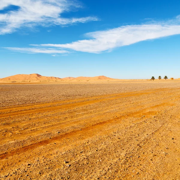 Dağ eski fosil morocco sahara ve kaya s çölde — Stok fotoğraf