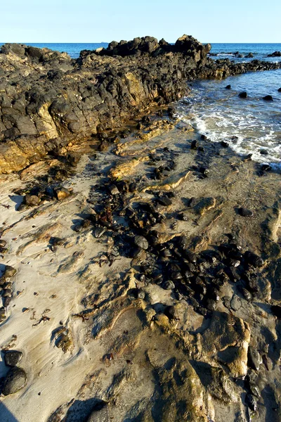 Madagaskar řas a rock — Stock fotografie