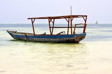 zanzibar Tanzanya plaj kum Adası ve yelken