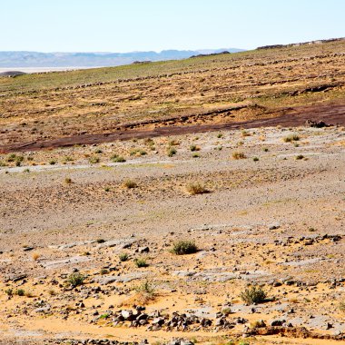 dağ eski fosil morocco sahara ve kaya s çölde