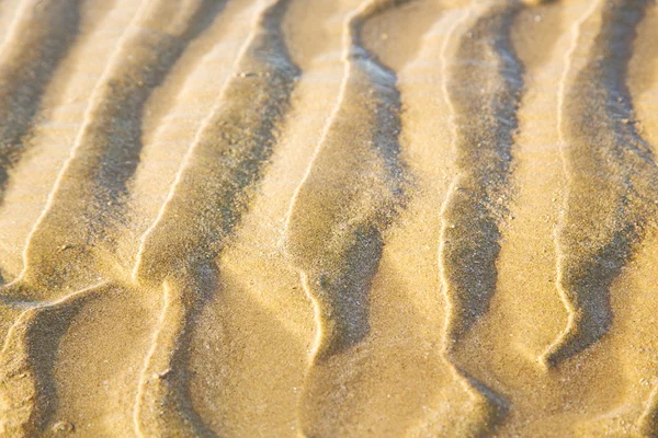 Dune   in africa brown t sand beach  atlantic ocean — Stock Photo, Image