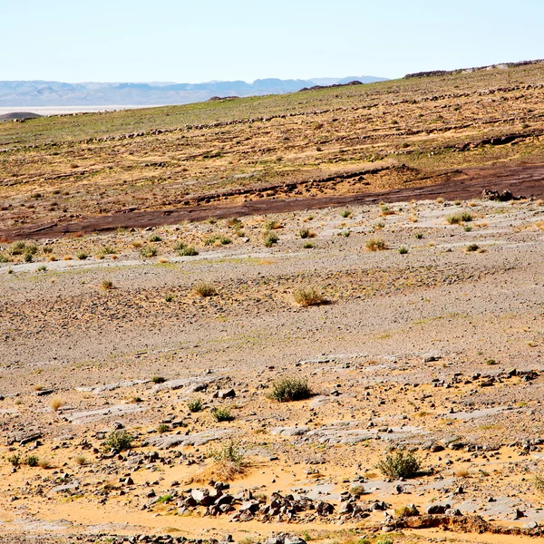 Viejo fósil de montaña en el desierto de morocco sahara y roca s — Foto de Stock