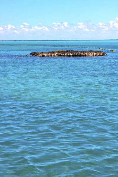 Isla contoy in Mexiko schäumt Meer Tropfen Welle — Stockfoto