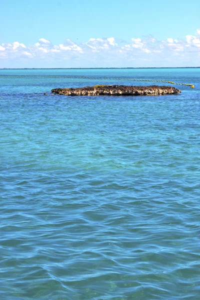 Isla contoy in Filico freather sea drop wave — стоковое фото