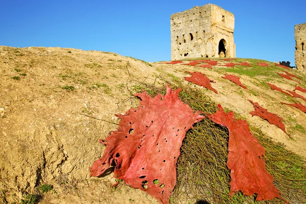 Alte konstruktion in africa marocco busch — Stockfoto