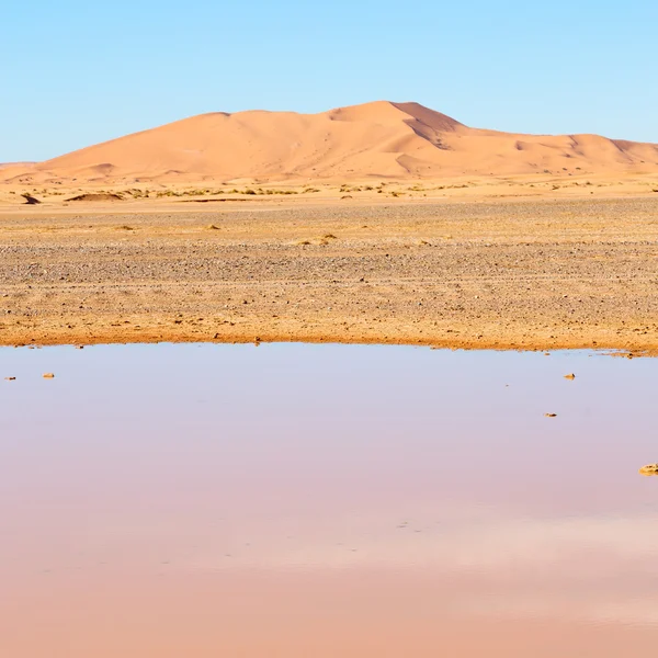 Luz do sol no lago deserto amarelo de areia de morocco e duna — Fotografia de Stock