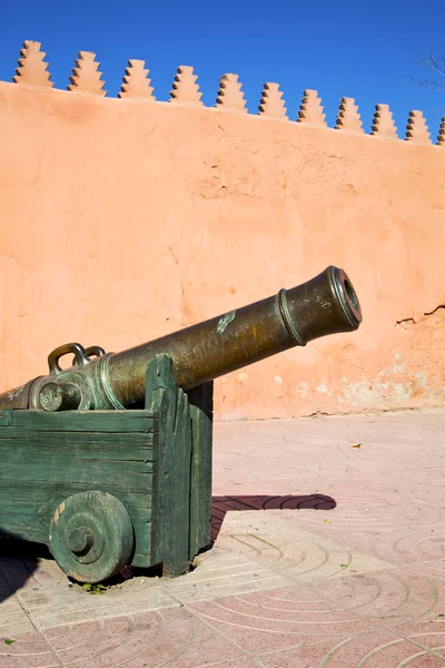 In Afrika Marokko groen — Stockfoto