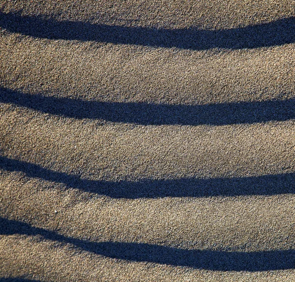 In lanzarote   abstract of a  dry sand  the beach — Stock Photo, Image