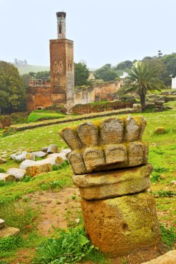 Chellah Fas Afrika Minare