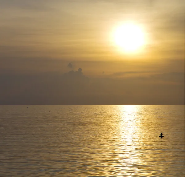 Kho phangan and water in thThailand bay coastline — стоковое фото