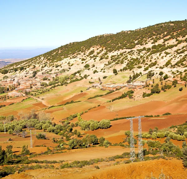 Dades valle en atlas moroco africa árbol de tierra y nadie — Foto de Stock