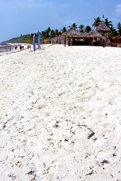 Playa de algas en zanzíbar casa isla de arena cielo y vela — Foto de Stock