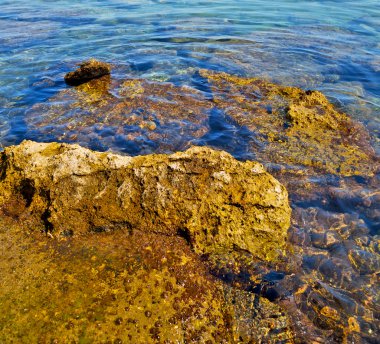 kıyı şeridi gündoğumu ve hafif okyanus beyaz gökyüzü kahverengi taş